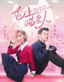 “我要去两路看我女儿！”七旬老人车流中穿行 骁骑队员爱心护送